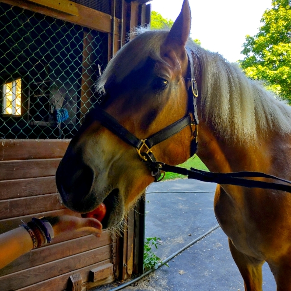 Meet your Posher, Maddie